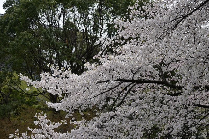 image0140