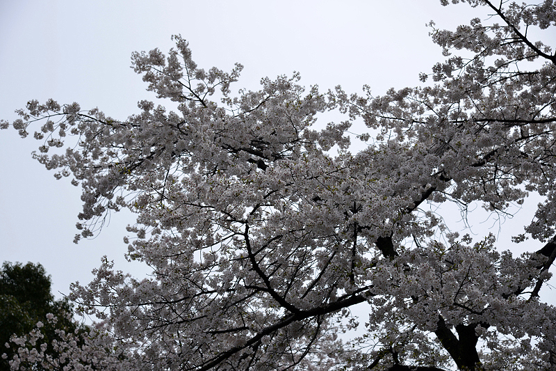 image0141