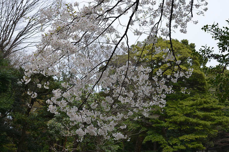image0143