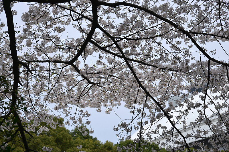 image0147
