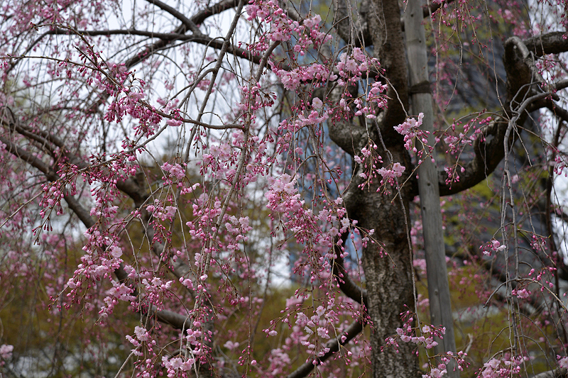image0170