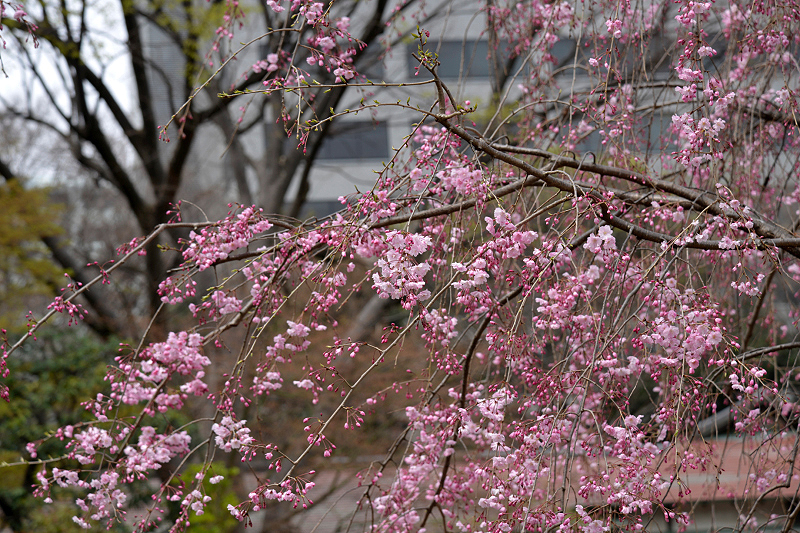 image0171