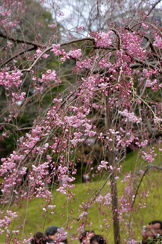 image0172