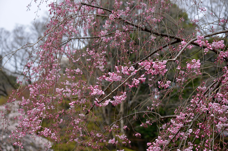 image0173
