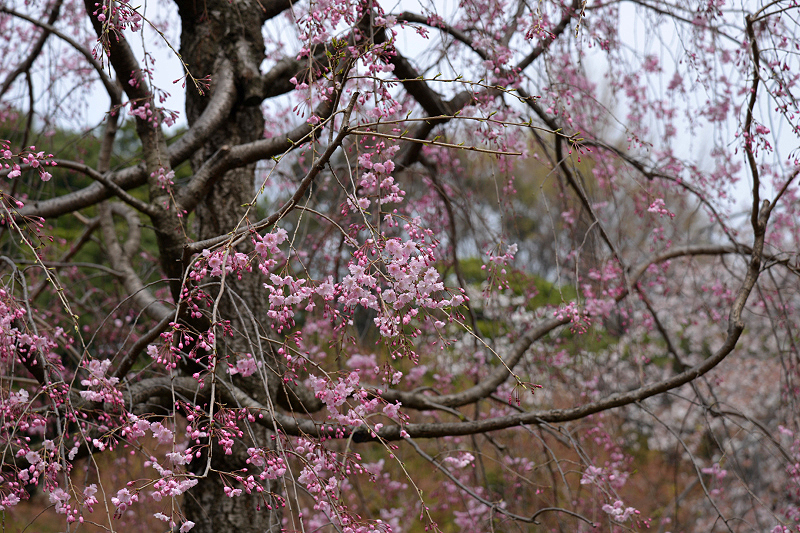 image0175