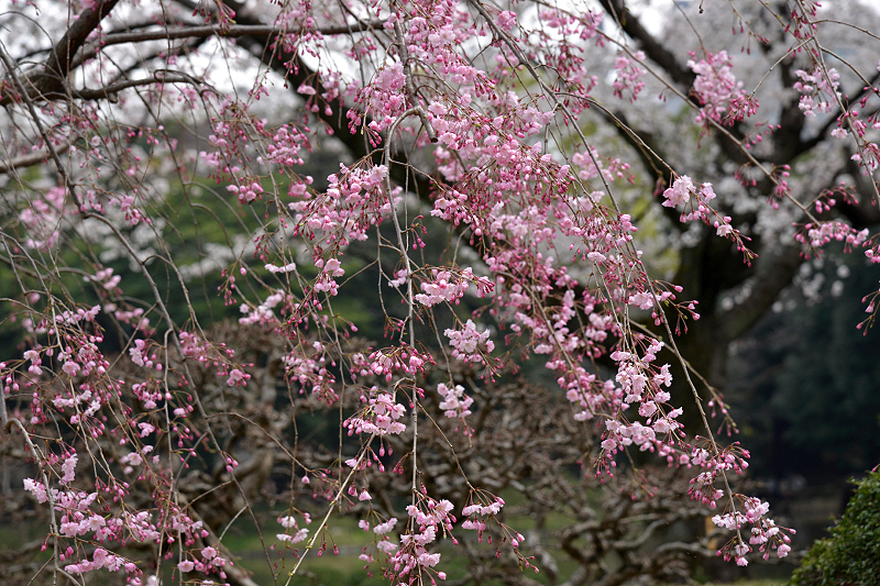 image0176