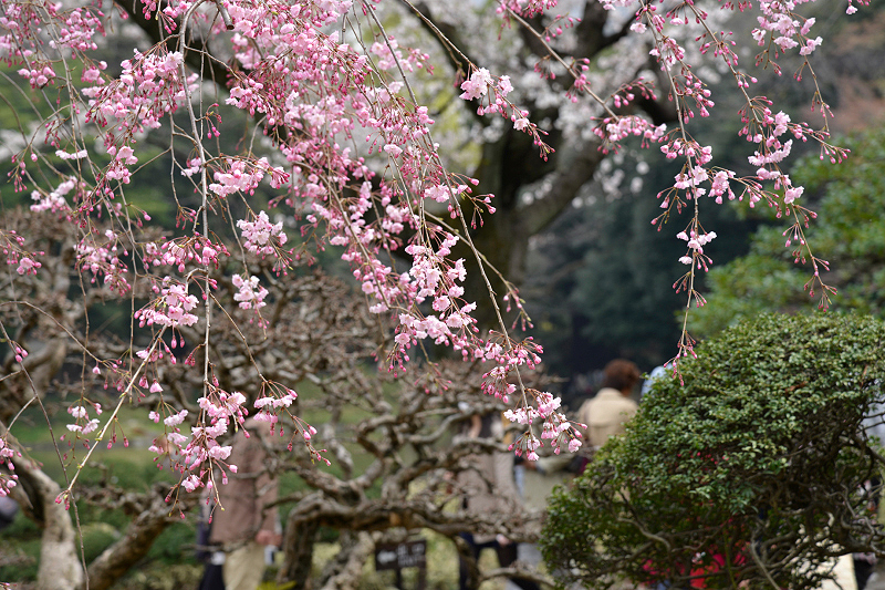 image0177