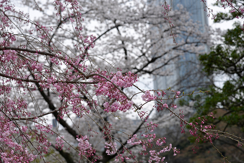 image0179