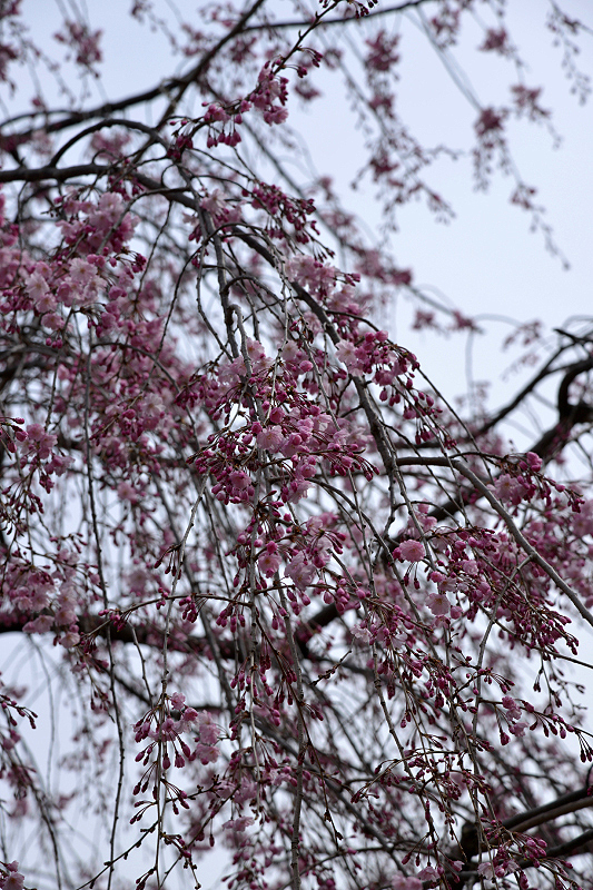 image0180