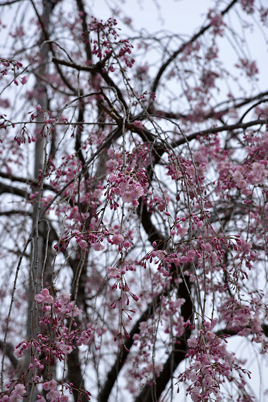 image0181