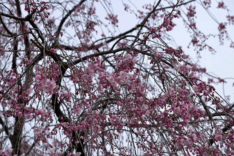 image0183