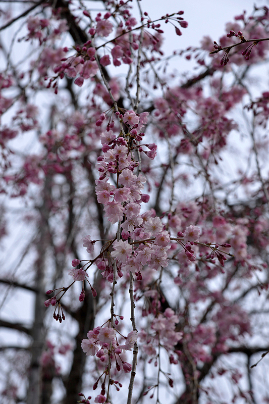 image0186