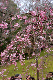 image0172