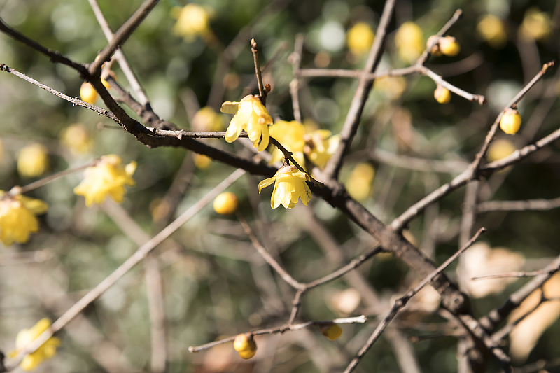 image0232