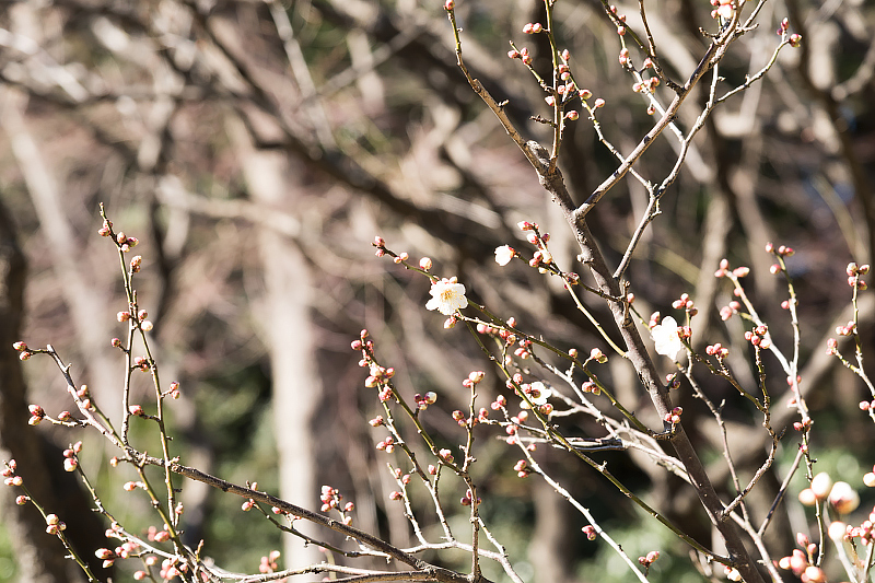 image0282