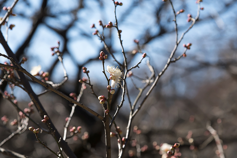 image0300