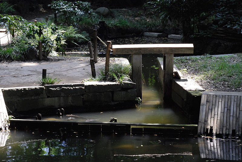 image0089