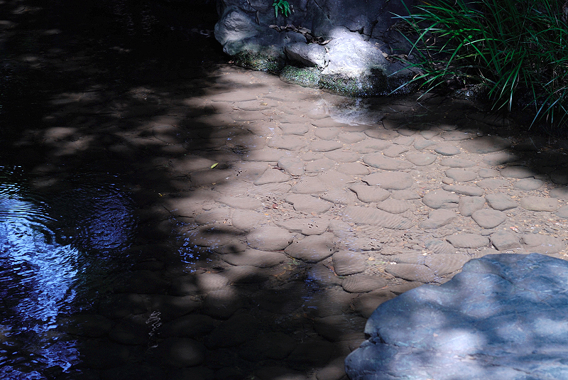 image0127