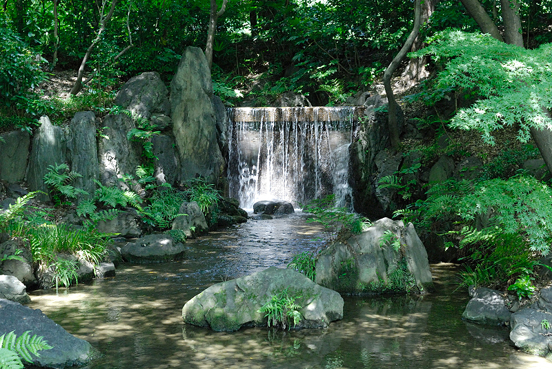 image0128