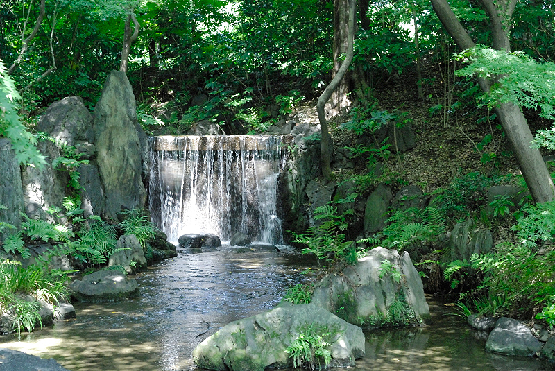 image0129