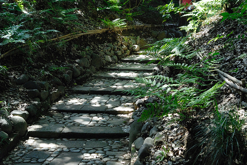 image0130