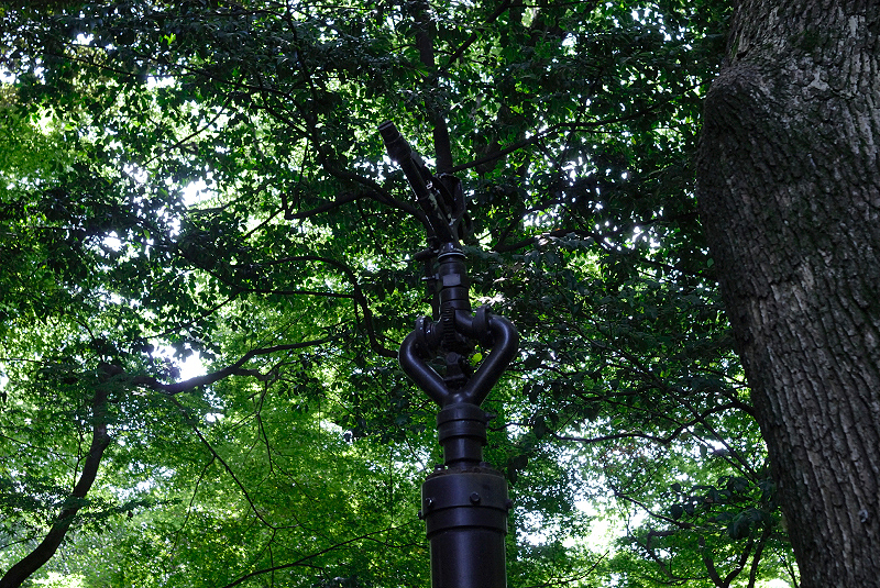 image0131