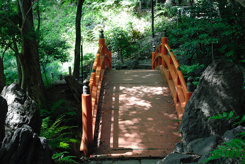 image0132