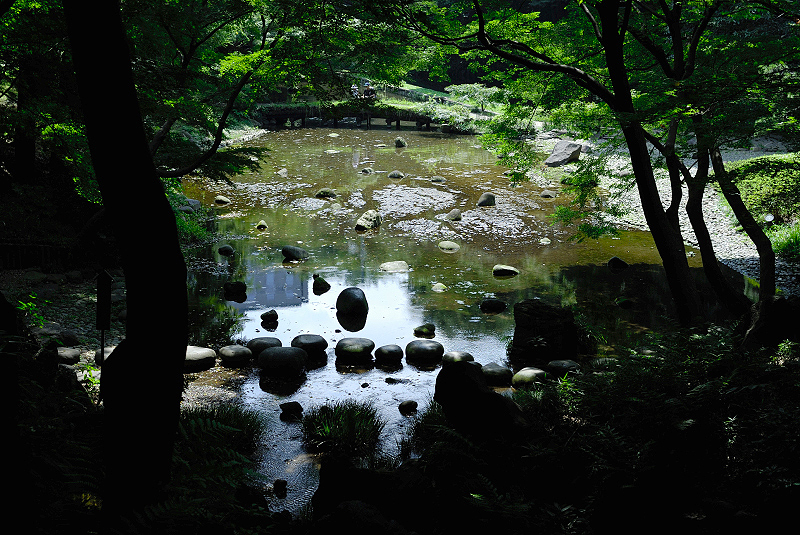 image0133
