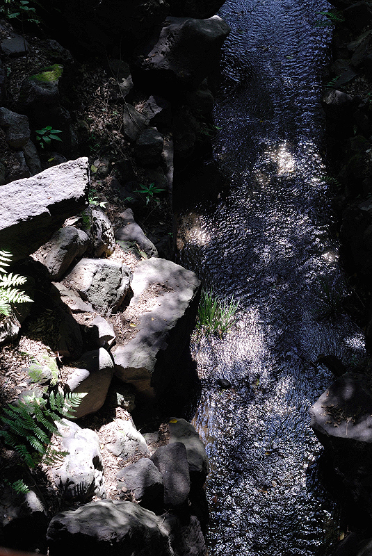 image0134
