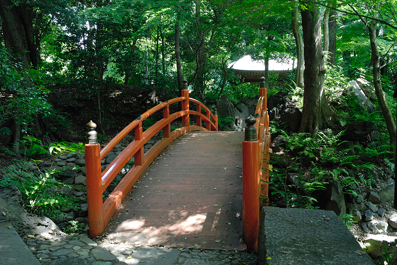 image0135