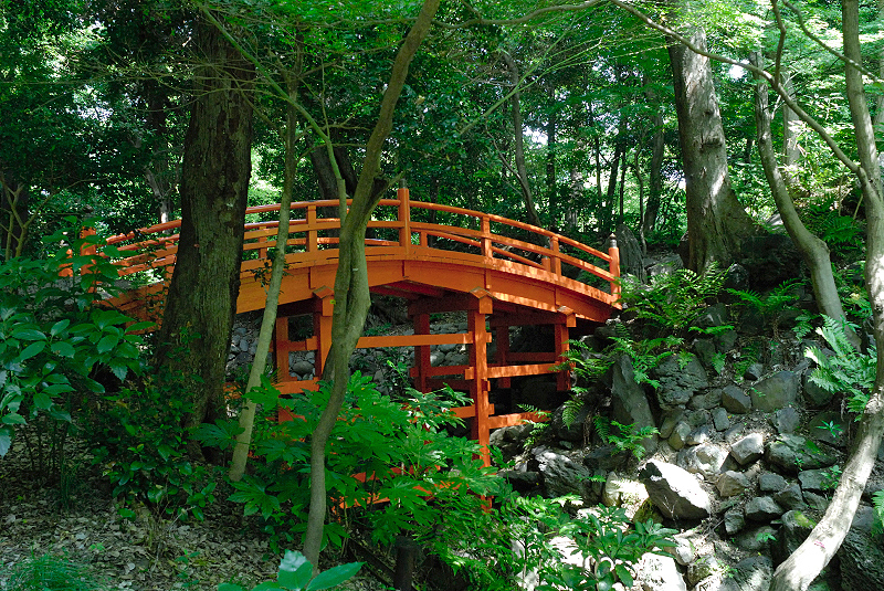 image0136