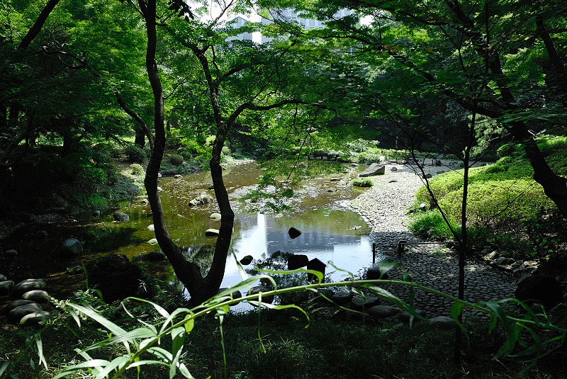 image0137