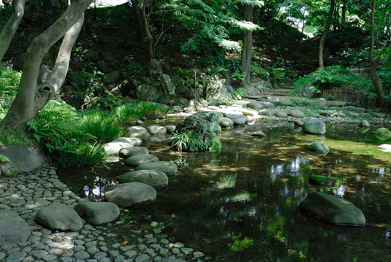 image0138