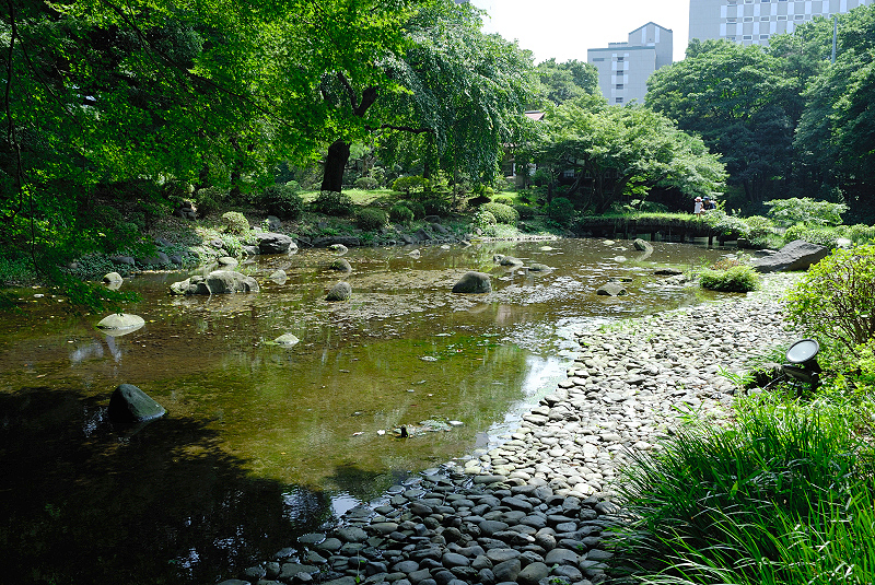 image0139