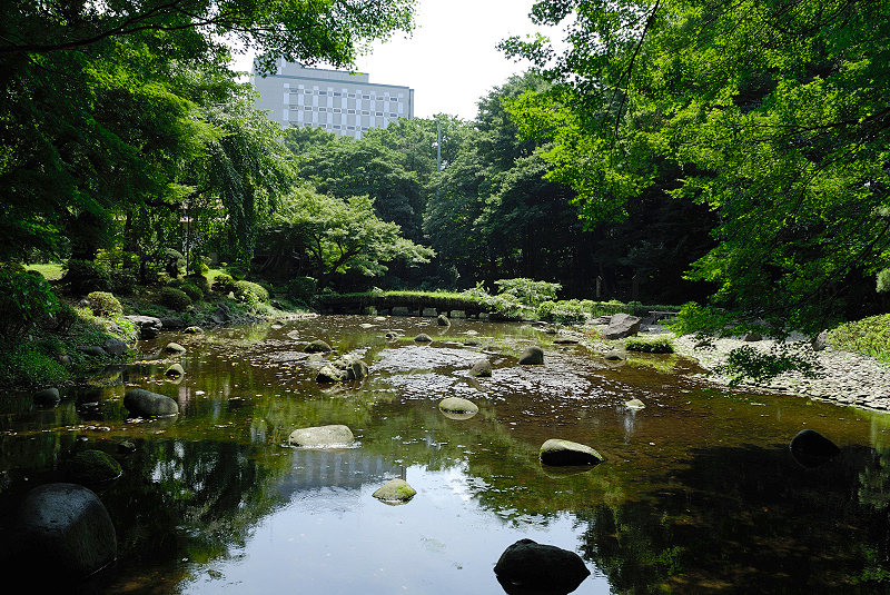 image0142