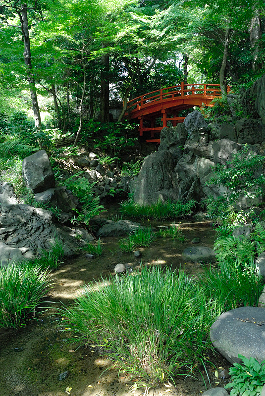 image0143
