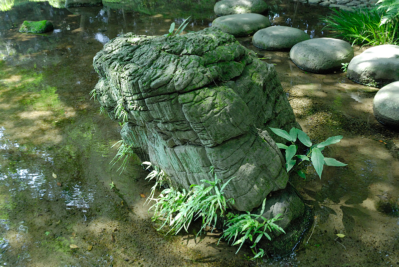image0144