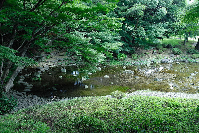image0145