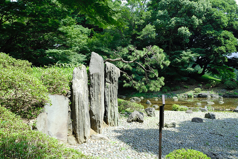 image0146
