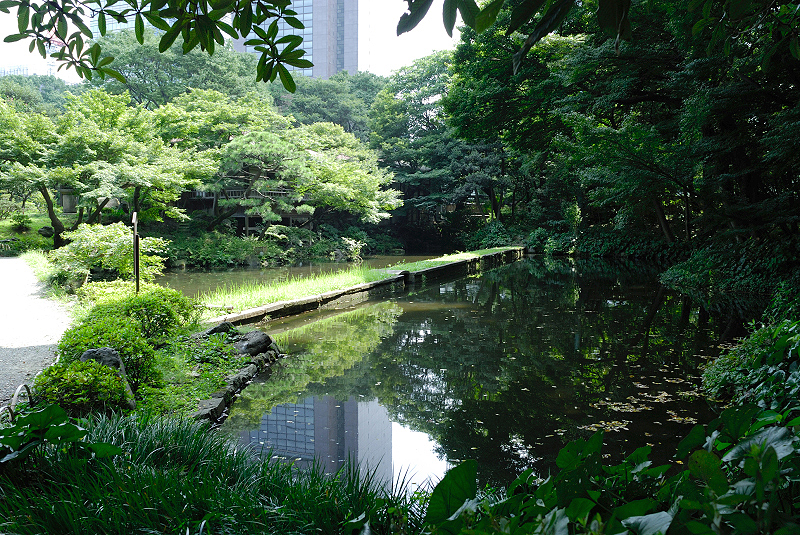 image0147