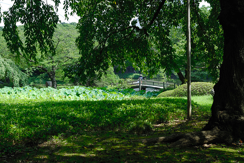 image0150