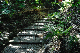 image0130
