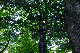 image0131