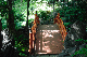 image0132