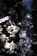 image0134