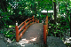 image0135