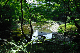 image0137