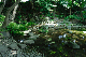 image0138