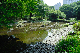 image0139