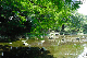 image0140